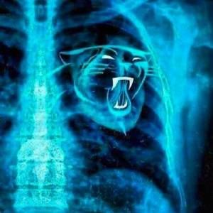 Meet your Posher, Roslyn